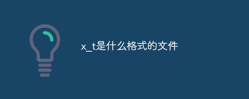 x_t是什么格式的文件